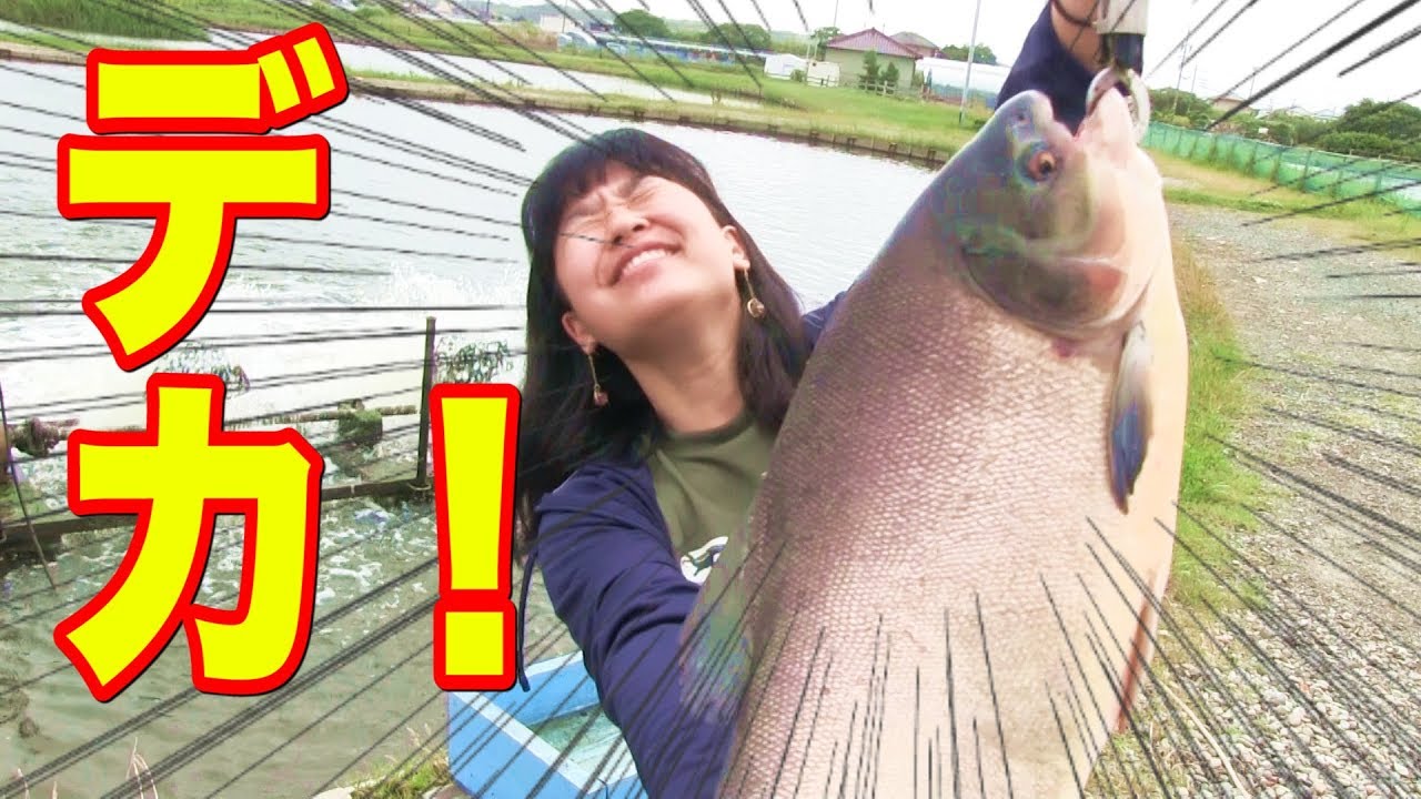 浜名湖フィッシングリゾートの楽しみ方 魚種の合わせた釣り方のコツを解説 Kurashi No 浜名湖フィッシングリゾートの楽しみ方 魚種の合わせた釣り方のコツを解説 Kurashi No