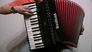 Stereo Love - Edward Maya & Via Jigulina | Accordion Cover by Stefan Bauer chords