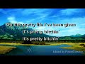 Miranda Lambert- Pretty bitchin' (Lyrics) Miranda Lambert- Pretty bitchin' (Lyrics)