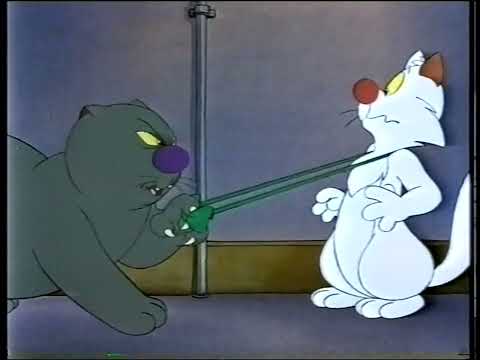 Billy The Cat Ep 23 The Pigeon Who Fell To Earth 