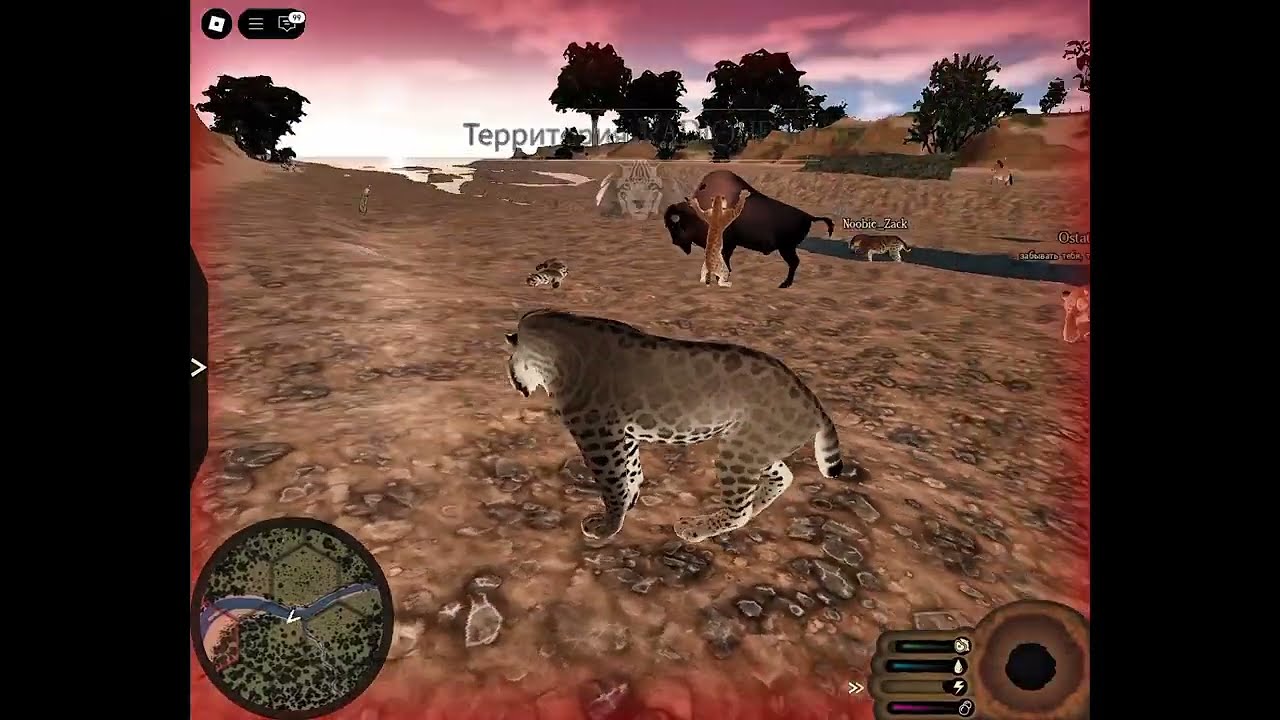 🐅TIGER HUNT ANCIENT BISON🦬•|•Ecos la brea|