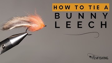 How To Tie a Bunny Leech (Step-By-Step Guide)