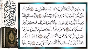 سورة النحل قراءة بالتجويد الشيخ أيمن سويد Surah Al-Nahl (An-Nahl, The Bee) Sheikh Ayman Swaid