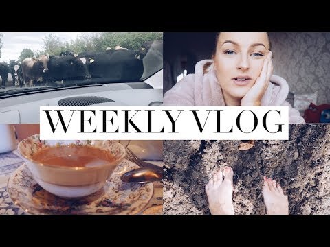 Walking in cow poo and having afternoon tea, Its been one of those weeks! | Weekly Vlog #2