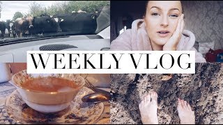 Walking in cow poo and having afternoon tea, Its been one of those weeks! | Weekly Vlog #2