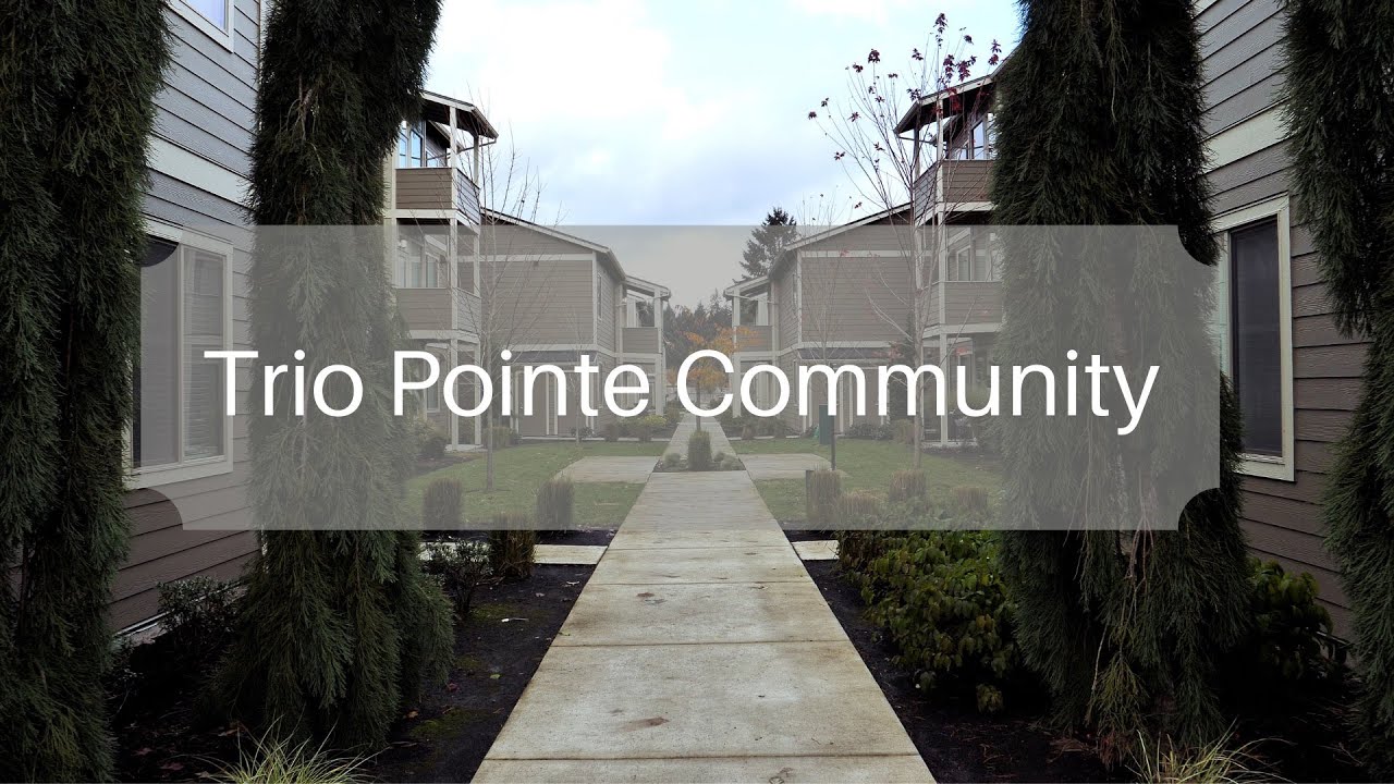 PK Video Real Estate Project YouTube