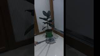 HOLTECH METAL TASARIM TEKERLEKLİ SAKSI ALTLIĞI