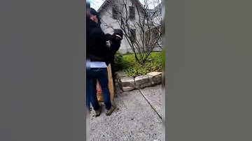Warning ⚠️  we murdered this front yard clean-up!