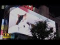 【4K】新宿巨大ネコ・3D｜Today's Shinjuku giant cat!!