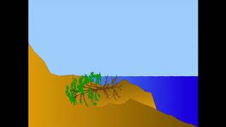 Stream Bank Restoration