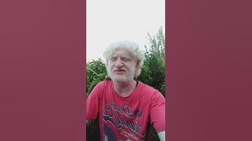 قالوا ياايها العزيز تلاوة من سورة يوسف للقارئ عامر جبو