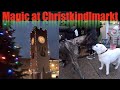 Magic the Great Dane goes to Christkindlmarkt