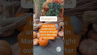Sowing Tips