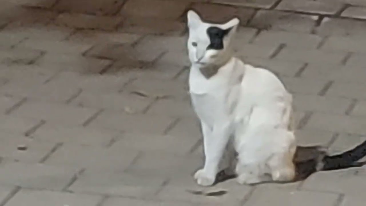  टॉम एंड जेरी (मुंबई)