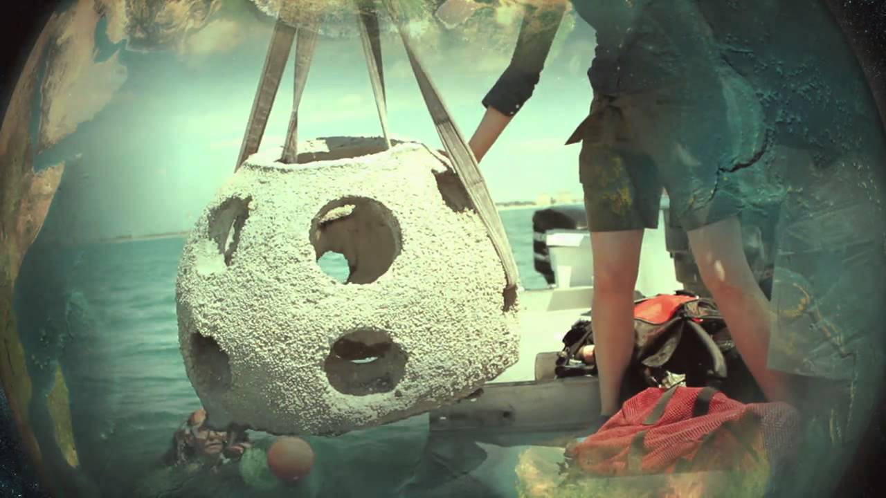 ميلاد الأرض الموسم الثاني الحلقة الخامسة - الاثنين 17:30