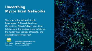 Unearthing Mycorrhizal Networks