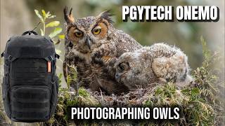 PGYTECH ONEMO Camera Backpack in Florida to Photograph Nesting Owls - Airline Friendly Backpack