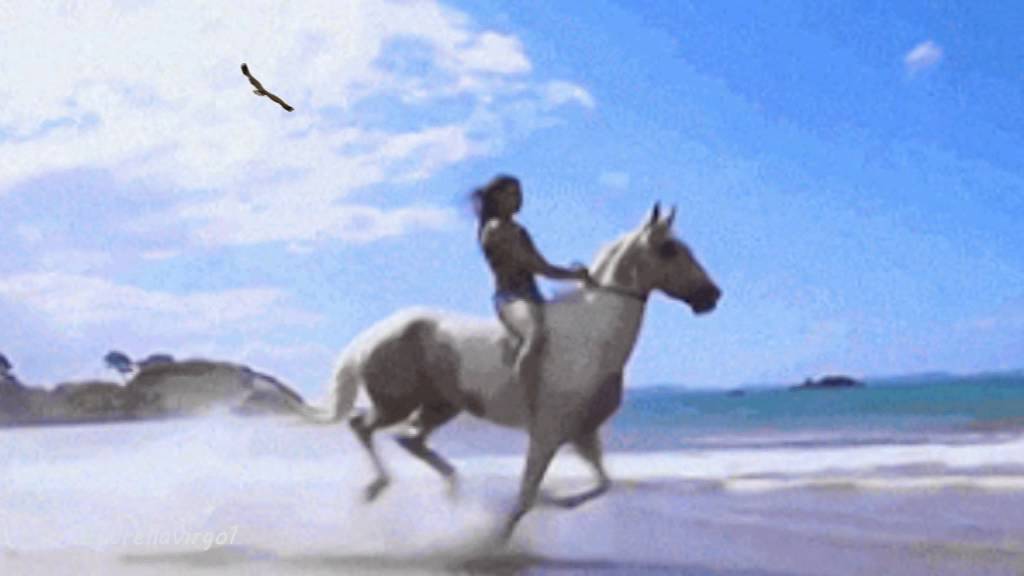 Koko Montana - Se ha puesto el sol (1,962)