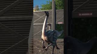 Struthiomimus The Ostrich Mimic