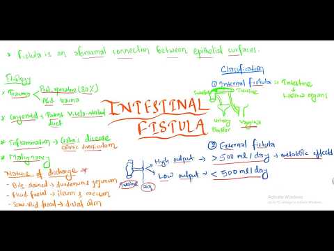 Intestinal Fistula