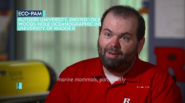 Eco-PAM: Ecosystem Passive Acoustic Monitoring project - Snapshot Version