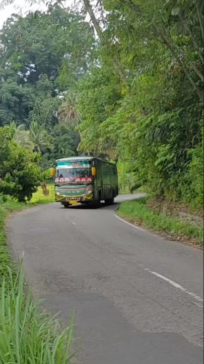 ALS 036 WITH ITS CHARACTERISTIC COOLER SOUND #bus