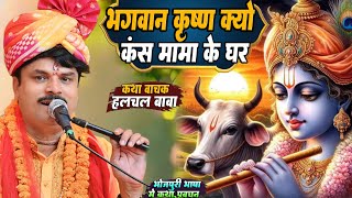 भगवन कृष्ण क्यों गए कंस मामा के घर जानिए पूरी सच्चाई | Kans Vadh Ki Katha | #Halchal Baba Ki Katha