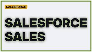Salesforce: Unable to display piechart for Accounts per country in Visualforce page (3 Solutions!!) News