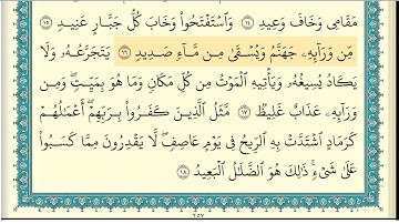 ابراهيم الاخضر سورة ابراهيم كاملة مكتوبة HD