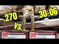 .270 win vs .30-06 sprfld Hornady Superformance GMX