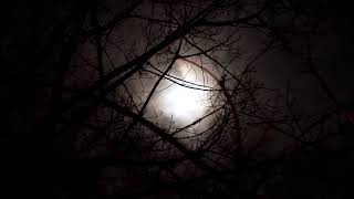 Full Moon Vid001