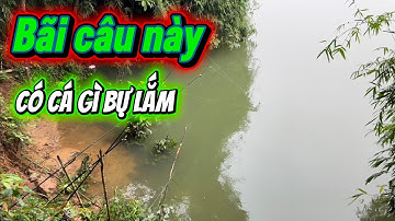 #fishing #câucá  sông đồng Nai trải nghiệm bãi mới cá ăn thấy ham 