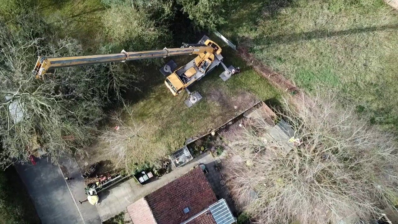 Big Cooper Beech Marsham cranes and trees. YouTube