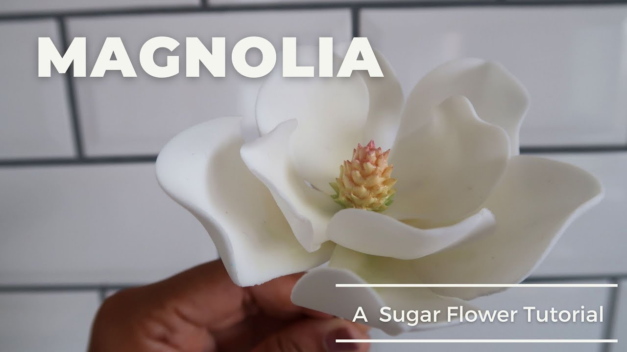 Magnolia Gum Paste Flower Tutorial - Fondant