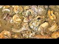 HOW TO MAKE THE BEST SEAFOOD GUMBO EVER | NEW ORLEANS STYLE + WITH A TWIST |  HOMEMADE GUMBO|