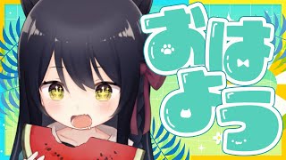 猫音すず / Nekone Suzu の配信のサムネイル画像