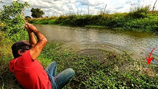 Download Lagu Usei filé de cat fish na pesca caipira só peguei gigante nesse valão esquecido. MP3 Download Lagu Usei filé de cat fish na pesca caipira só peguei gigante nesse valão esquecido. MP3