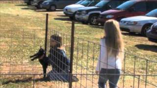Campbell's Pumpkin Patch