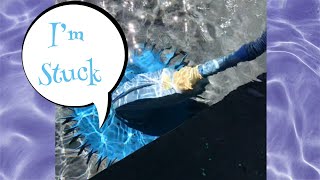 Barracuda Zodiac G2 Get's Stuck #KreepyKrauly #BarracudaZodiac