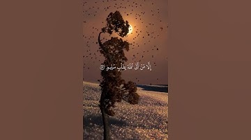 قرآن كريم بصوت جميل #قران_كريم #اكسبلور #المصحف #راحة_نفسية #quran
