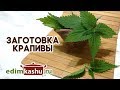 Как заготовить крапиву на зиму? Два основных способа - сушка и заморозка