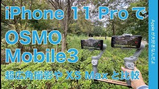 超広角も手ぶれなし！iPhone 11 Proでジンバル DJI OSMO Mobile 3 (¥13750)・XS Maxとの同時撮影比較など効果をチェック！