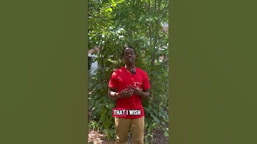 Meet Your #YorkUEUC Peer Mentors