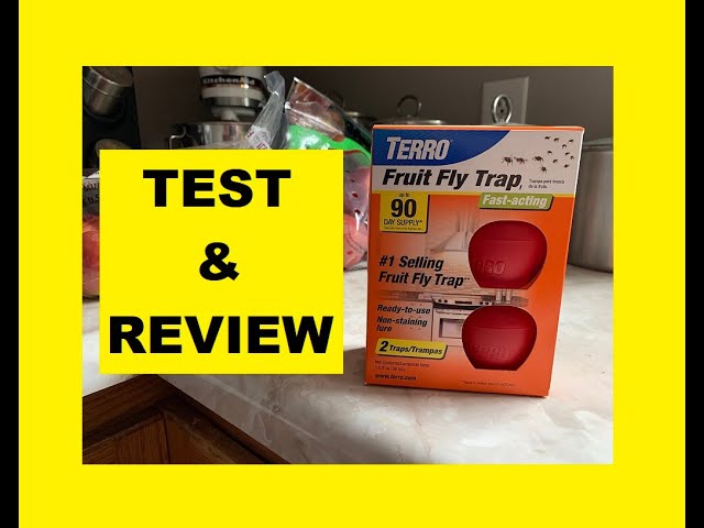 How to Use Terro Fruit Fly Traps [Get Rid of Fruit Flies Fast!] 