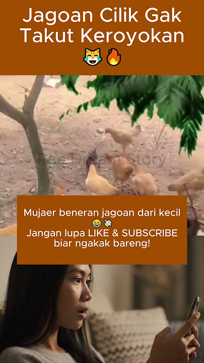 Mujaer Emang Jagoan Dari Kecil 💪 Dikeroyok Pun Santuy 😂 #short #trending #viral #fyp #cat