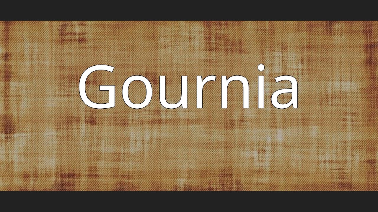 Gournia