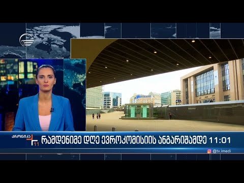 რამდენიმე დღე ევროკომისიის ანგარიშამდე