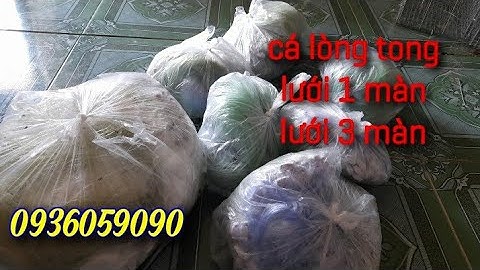 Bán lưới cá lòng tong, bán lưới 1 màn, bán lưới 3 màn, bao ship toàn quốc 0936059090