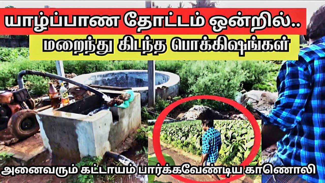 🔴நீண்ட ஆயுள் ஆரோக்கியமான வாழ்க்கைக்கு❗இது தெரிந்தால் நீங்களும் அதிஸ்டசாலிதான் #jaffnabreakingnews 