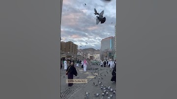 وَأَشْرَقَتِ الأرض بِنُورِ رَبِّهَا - سورة الزمر